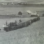 Threshing Wheat in Seltice,1899